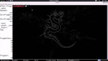 Assembly Programming 5 Assembly Conditional & Unconditional Branching