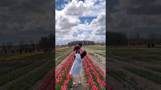 Tulip festival in Canada 2026 #tulipfarm #tulipfestival #ashortaday #trending