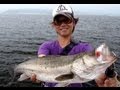 マジで釣れない時は"あのルアー"の超高速引きが激効く！