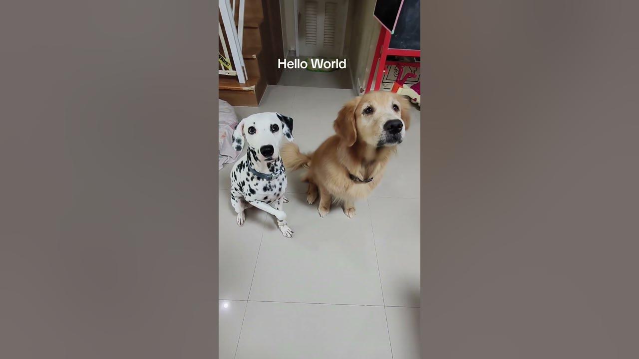 Hello World - YouTube