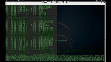 HP Apache Struts Remote Code Execution 0-day Vulnerability