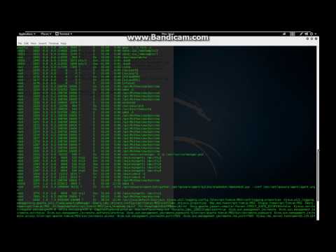 HP Apache Struts Remote Code Execution 0-day Vulnerability