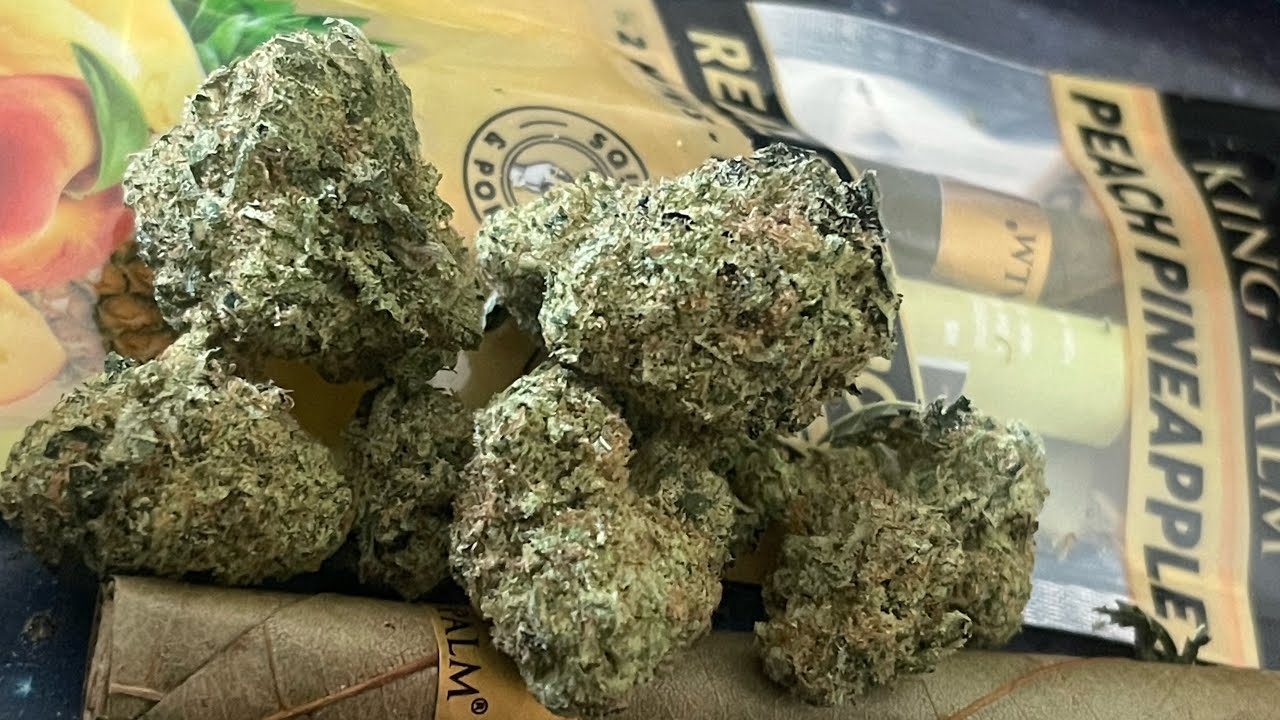 Fruit Fusion in a KING PALM