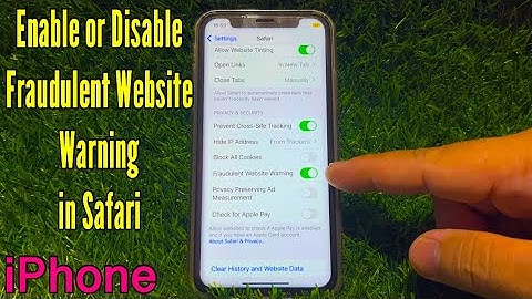 How to Enable or Disable Fraudulent Website Warning in Safari on iPhone X
