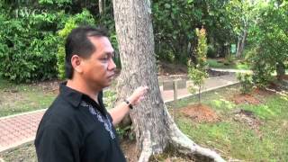 A Brief Guide of Sama Jaya Nature Reserve