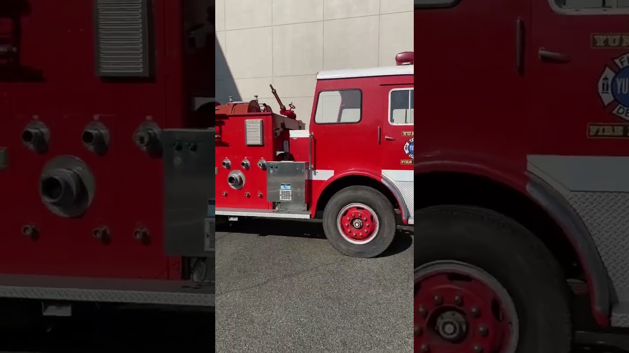 動画を再生