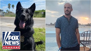 K9 crews looking for this in search for missing Brian Laundrie