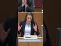 GEAS Lügen? Herr Rauer, die Wahrheit über Zahlen! #shorts