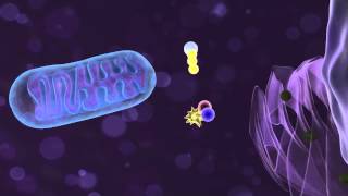 Deep Tissue Laser Therapy - How does it work