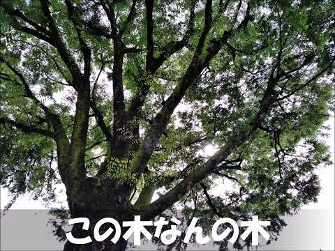 この木なんの木（カバー）