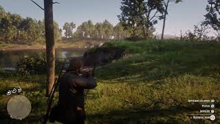 Red Dead Redemption 2 - Chasse : Écureuil peau parfaite (3 étoiles) Détail dans la description screenshot 2
