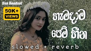 Ahi pillamak Athara | ඇහි පිල්ලමක් අතර ( Hamadama pem heena | හැමදාම පෙම් හීන ) Slowed Reverb 🥀🔥