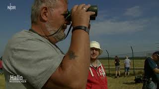 Plane Spotter / Flugzeugbegeisterte bei Air Defender &#39;23 am Fliegerhorst Wunstorf