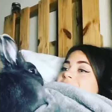 THIS RABBIT DANCES TO THE THEME SONG OF SPONGEBOB 😂😂😂