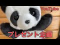 YouTubeプレゼント企画のお知らせです