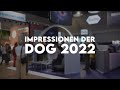 Dog 2022  impressionen  eyefox