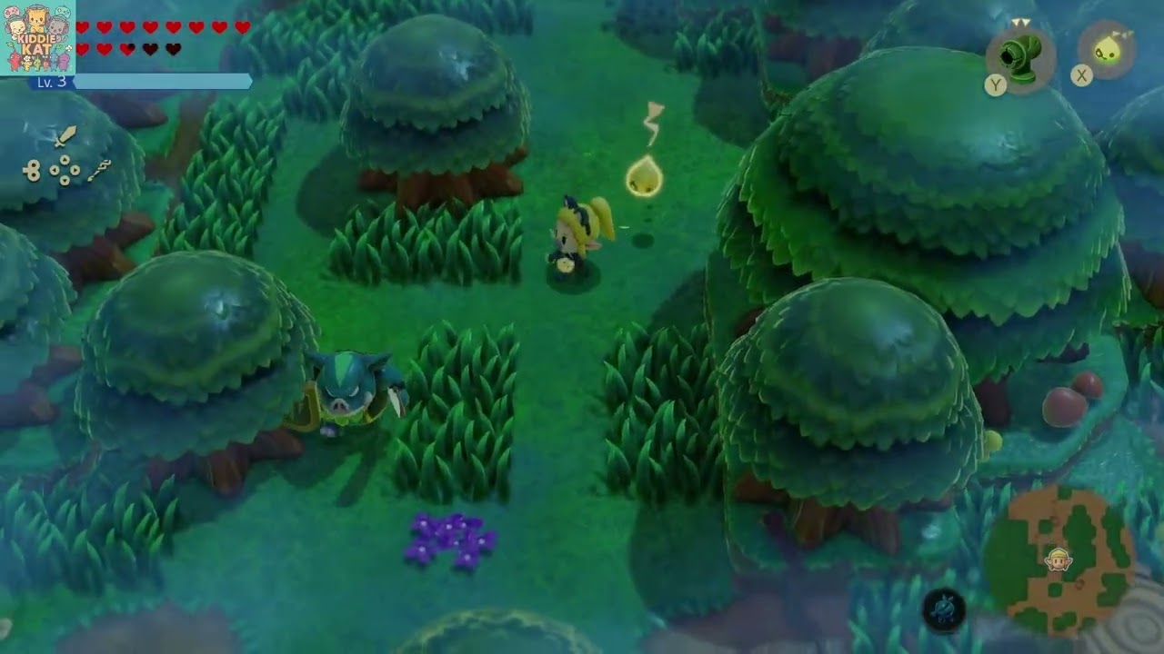 Zelda Echos of Wisdom! All echos