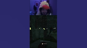 bot meg go crazy#koalabuns349 #Twitch #dbd #deadbydaylight #2v8 #dbdbots #bots