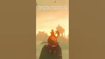 Helping/Finding a Korok everyday until a new Zelda game is announced Day 270