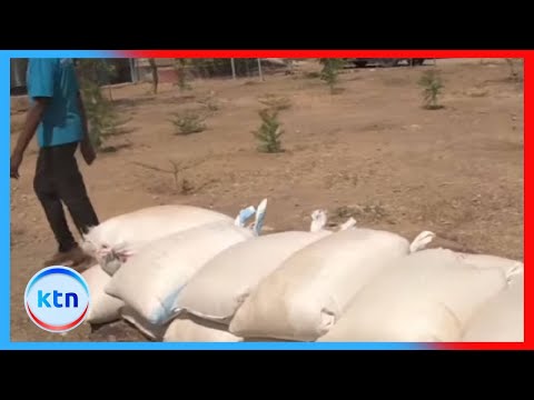 Hunger mitigation program launched in Kenya's dry regions