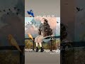 إذا راح شو يصير اصلا حلو التغيير