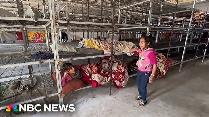 Displaced Families In Gaza Living In A Chicken Coop For Safety