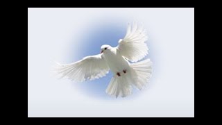 Funeral Mass for Nancy Lee Koepsel at 11:00 AM