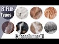 The ULTIMATE colored pencil FUR tutorial | Sea lion, lemur and more