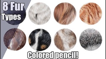 The ULTIMATE colored pencil FUR tutorial | Sea lion, lemur and more