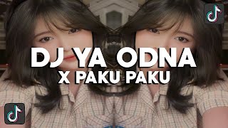 DJ YA ODNA X PAKU PAKU - SLOWED REVERB VIRAL TIKTOK