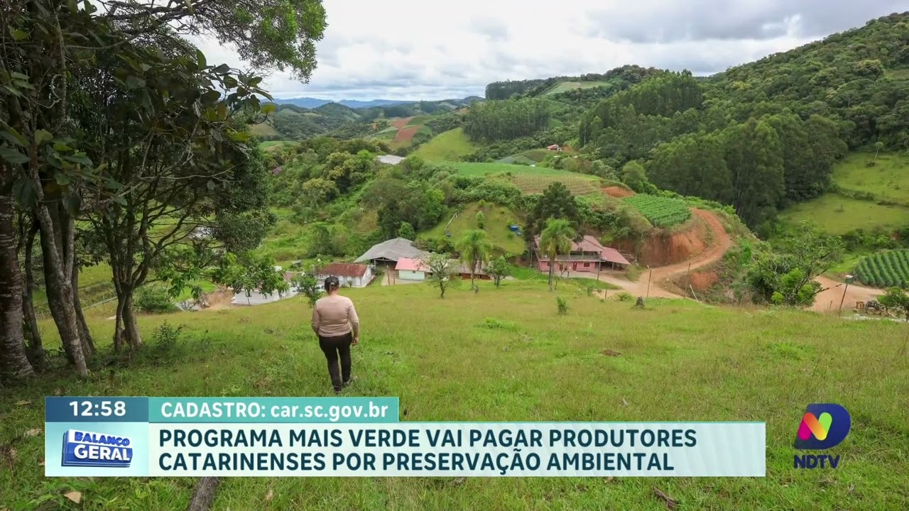 Preservação da mata pode gerar renda a produtores catarinenses