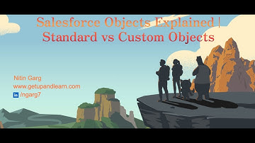 Salesforce Objects Explained | Standard vs Custom Objects