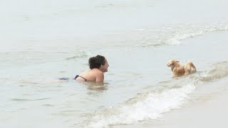 Los perros vuelven a disfrutar del mar en la playa canina de Pinedo