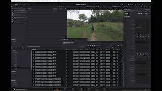 Synchronizing complexe multicam projects with Davinci Resolve and Syncaila