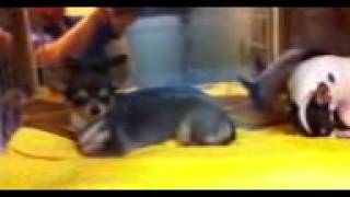 IMG 9770