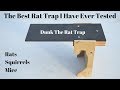 The All Time Best Rat Trap I Have Ever Tested. Dunk The Rat Trap In Action.