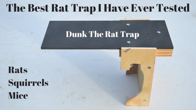 FABUTA Plank Mouse Trap from Oak Wood - RAMP INCLUDED - Walk The Plank  Mouse Trap Auto Reset - Humane Bucket Rat Trap - Kill or Live Catch Mice &  Other Pests