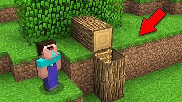 NOOB FOUND THE STRANGEST TREE WITH SECRET ENTRANCE! Minecraft - NOOB vs PRO