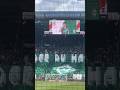 #werderbremen💚🤍 vs. #borussiadortmund - Durchsage📣 der #startingeleven #subscribe