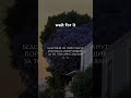 Qur’an | Muhammad Al-Luhaidan | surah 13 Ar-Raad