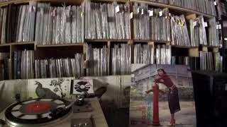 鄧妙華 Maggie Teng -- b1 橄欖樹