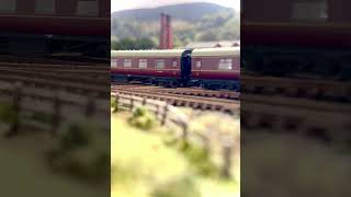 J39 approaches platform 2 #steamtrain #modeltrains #ngauge #modelrailways #trainspotter #steamloco