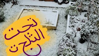 كايرو جاردن تحت التلج ❄❄❄❄