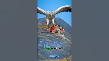 موت غريب على يد السلحفاة حقائق تاريخية الحياة البرية نسور 