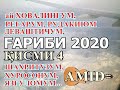 ҒАРИБӢ 2020 қисми 4 | ма ай ХОВАЛИНГМ, РЕГАРМ, ШАҲРИТУЗМ, ЯЗГУЛОММ ва ғайра ( AMID NEW SONG 2020)