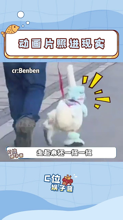 我就說嘛，日子怎么可能跟誰過都一樣呢 #記錄幸福時刻 #愛人如養花 #治愈 #寵物