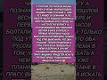 #история #историиизжизни #любовь #Берлин #Прага #русские #отношения