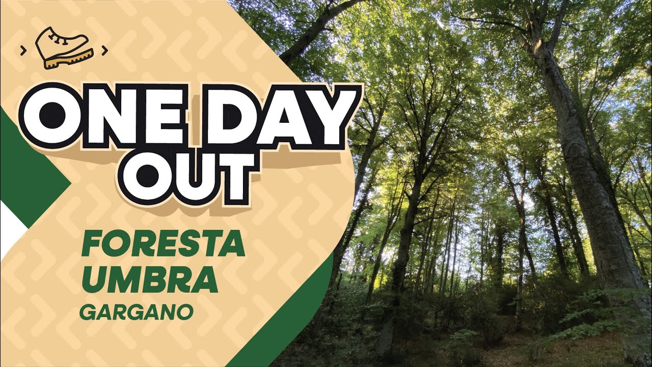 Foresta Umbra - Gargano - Hyperlapse