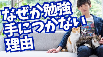 Nan Nan Back Undefined Skip Navigation Search Search Sign In Undefined Unavailable Videos Are Hidden Play All Daigo 中田 堀江 ひろゆき 191 Videos 7 Views Last Updated On Jul 22 2021 Show More Ein Auge Ein Auge Subscribe 1 9 26 Now