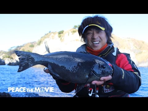PEACE THE MOVIE #38「グレ釣り最高!!!」東海地方 静岡県・南伊豆の旅
